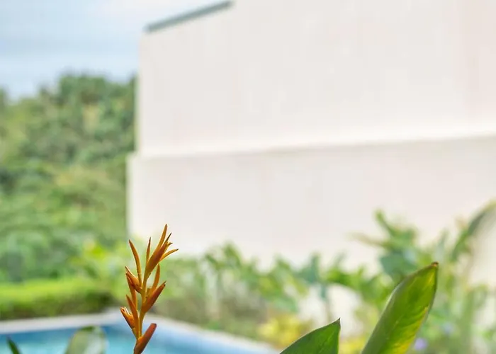 Cempaka Nusadua 3br Pool Wifi & Airport Pick Up * Нуса-Дуа