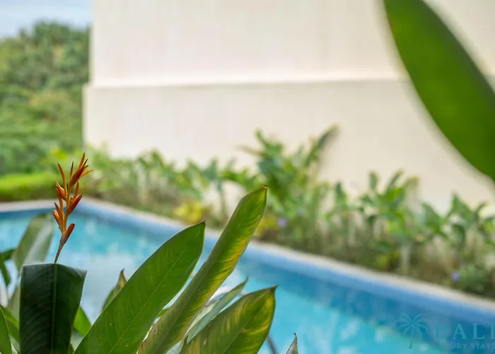 Cempaka Nusadua 3br Pool Wifi & Airport Pick Up